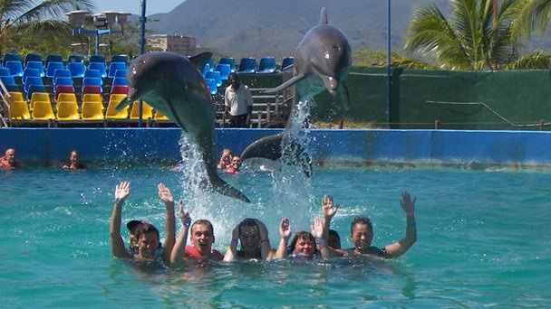 Waterland на Маргарите