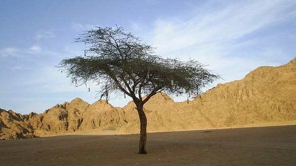 Долина Эхо в Шарм-Эль-Шейхе