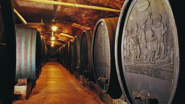 Винные погреба Птуя в Терме Птуй