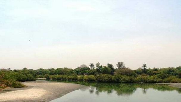 Речной птичий резерват Танджи в Банжуле