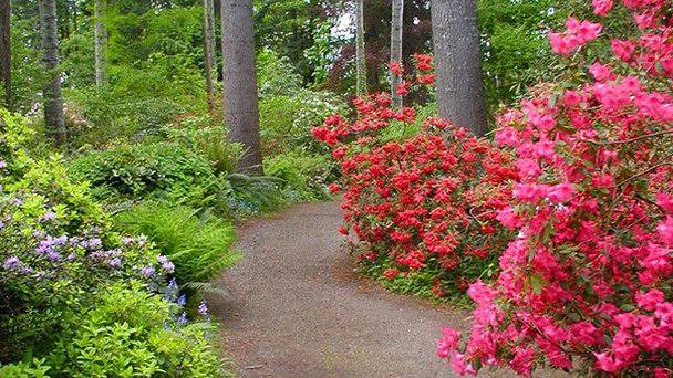 Леса и сады Милнер в Британской Колумбии Леса и сады Милнер в Британской Колумбии