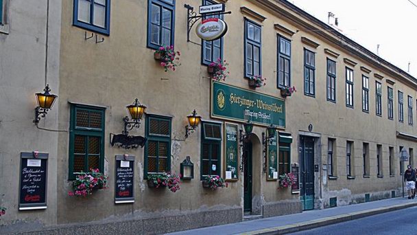 Салон Maxing в Вене