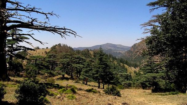 Национальный парк Белезма в Алжире Национальный парк Белезма в Алжире
