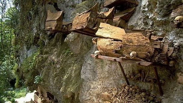 Детские могилки на дереве на Сулавеси