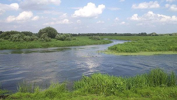 Национальный парк Уйсце Варты в Зелона-Гуре