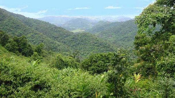 Национальный парк Као Яй в Бангкоке