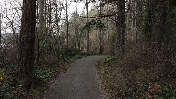 Региональный парк у Озер Олень и Бобёр в Ванкувере