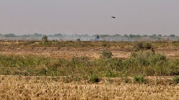 Чемама в Нуакшоте