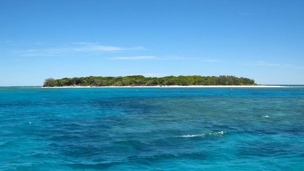 Остров Леди Масгрэйв на Большом Барьерном Рифе