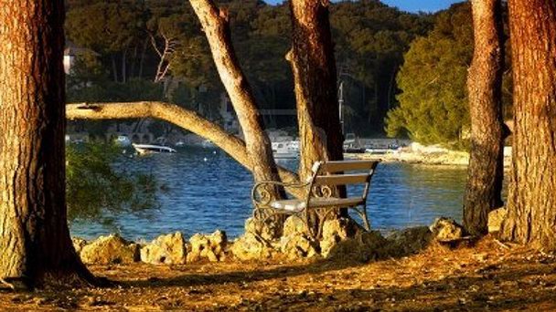 Лесной парк Цикат на Заливе Кварнер