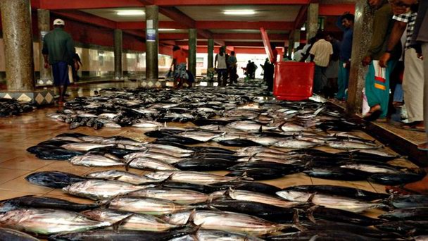 Рыбный рынок на Мальдивах в Атолле Мале