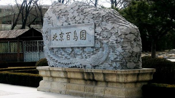 Сад птиц в Пекине Сад птиц в Пекине
