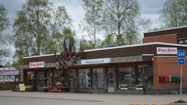 Цветочный магазин в Лапландии