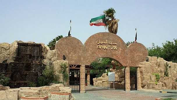 Зоопарк Кувейта в Эль-Кувейте Зоопарк Кувейта в Эль-Кувейте