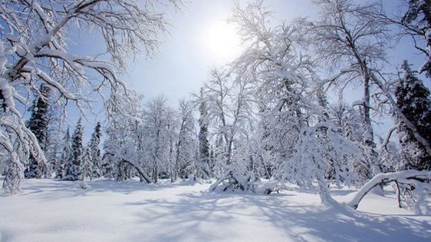 Национальный парк Урхо Кекконен в Кивиярви