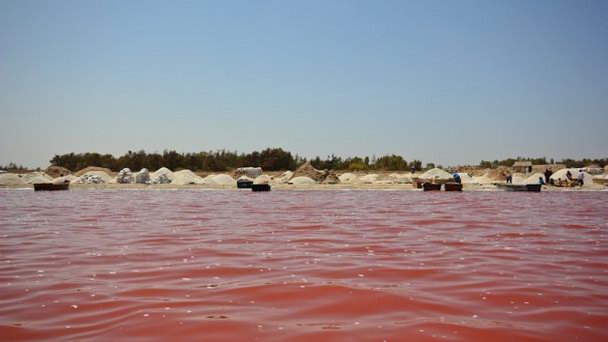 Розовое озеро Ретба в Дакаре Розовое озеро Ретба в Дакаре
