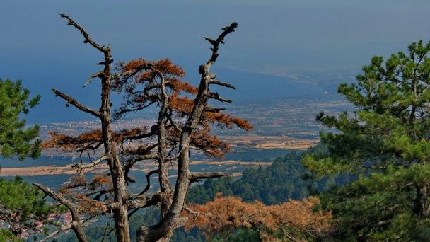 Смотровая площадка на Олимпе в Фессалии