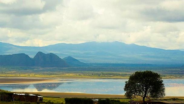 Озеро Эльментейта в Найроби