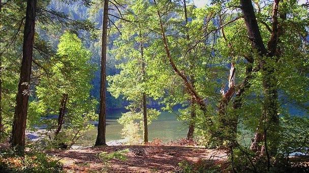 Парк Гоулэнд Тод в Британской Колумбии