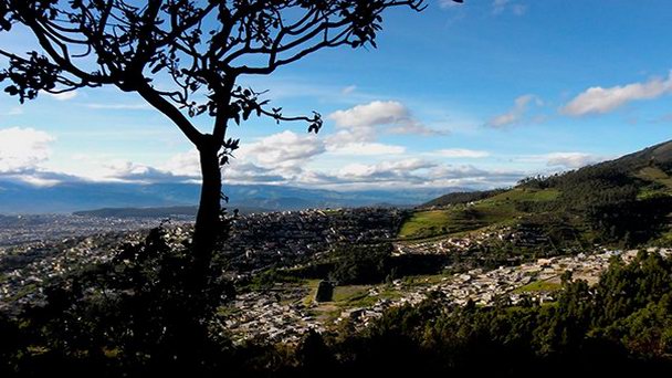 Заповедник Янакоча в Кито