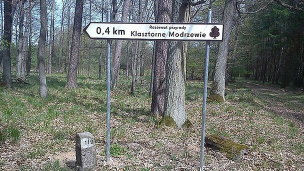 Заповедник Кляшторне-Моджеве в Великопольском воеводстве