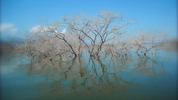 Соленое озеро Энрикильо в Ла Дескубьерте