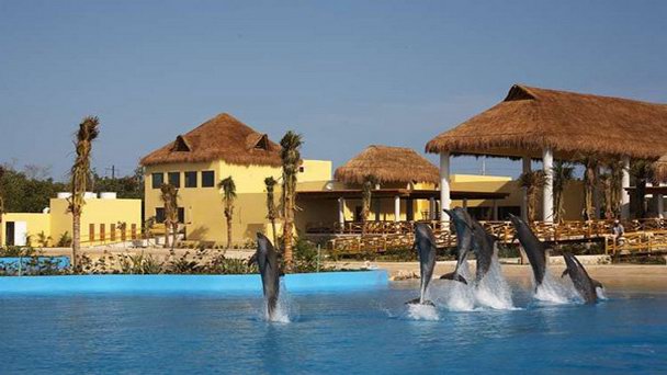 Дельфинариум-аквапарк на Ривьере-Майя в Пуэрто-Авентурасе