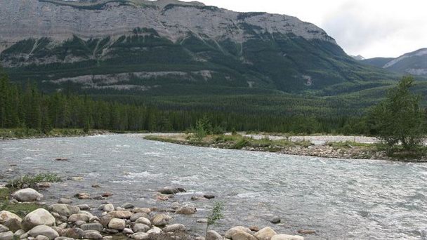 Река Snaring в Альберте