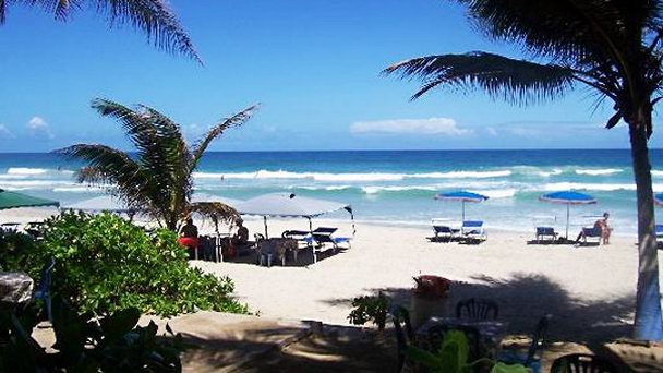 Остров орхидей Маргарита