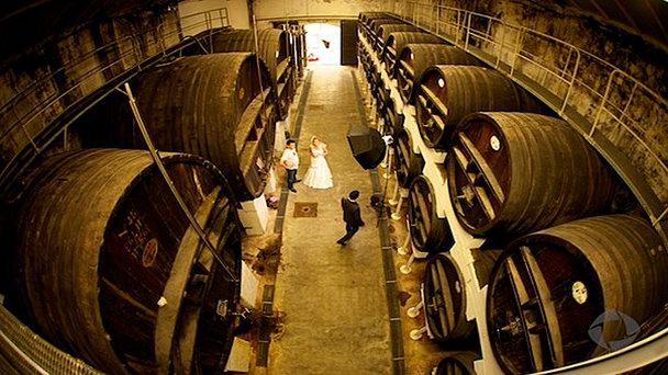 Погреба Фронтиньяна в Лангедок-Руссильоне