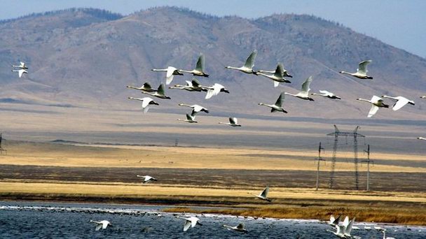 Урочище Сорокаозёрки на Алтае