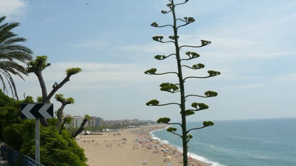 Пляжи Калельи в Коста дель Маресме