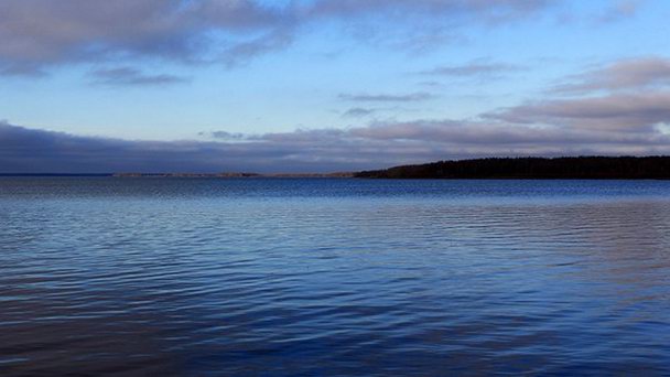 Костромское водохранилище фото