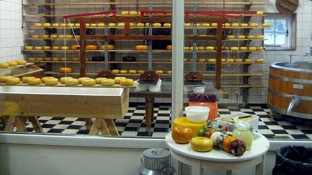 Сырная ферма Catherina Hoeve в Волендаме