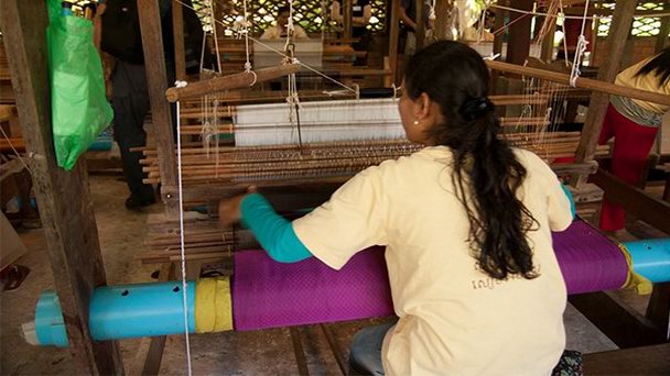 Шелковая ферма в Сием Рипе Шелковая ферма в Сием Рипе