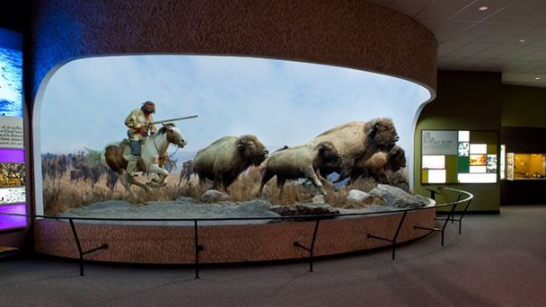 Музей человека и природы в Манитобе