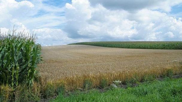 Руины Emmickhuizen в Утрехте