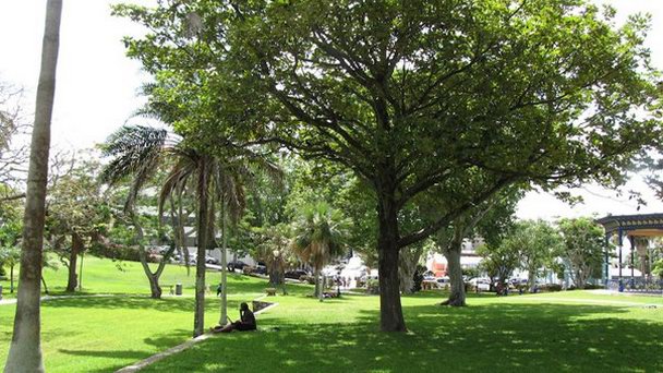 Гамильтон Виктория-Парк Гамильтон Виктория-Парк