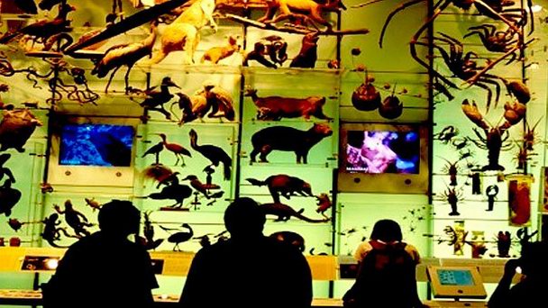 Природный музей Республики Казахстан в Алматы