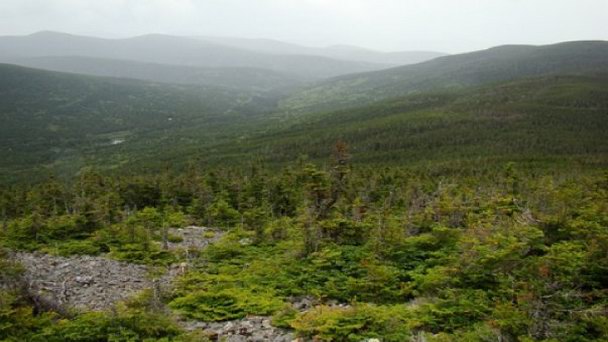 Гора Госфорд в Квебеке