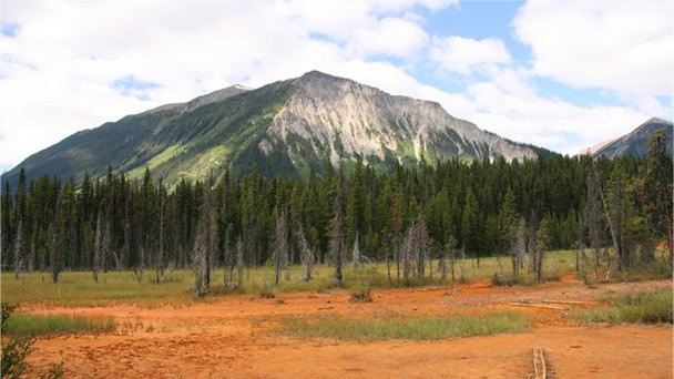 Национальный парк Кутеней в Британской Колумбии
