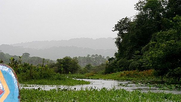 Бухта Габриэль в Кайенне Бухта Габриэль в Кайенне