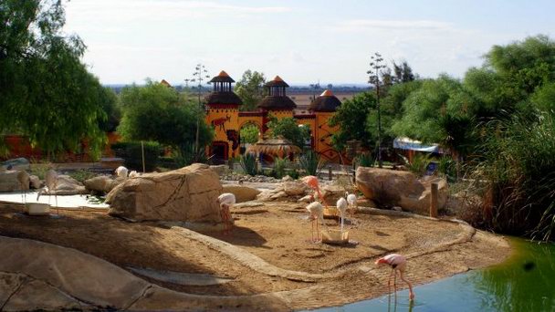 Зоопарк Фригия в Хаммамете Зоопарк Фригия в Хаммамете