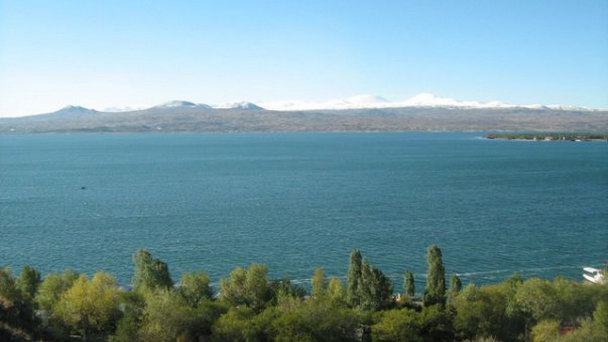 Озера Севан и облепиха. Озеро Севан кафе. Озеро Севан рыба. Озеро Севан камни.