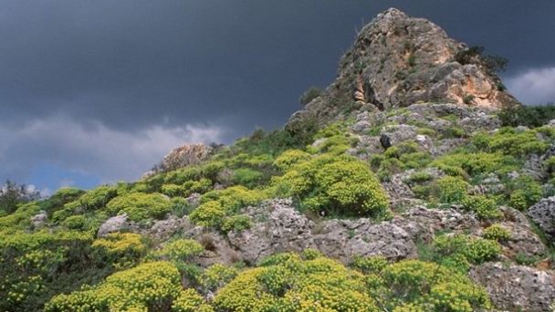 Нахаль Меарот в Кесарии