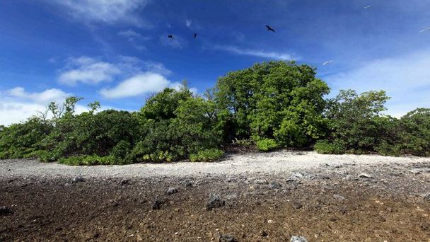 Остров Эжур на о-вах Лайне Остров Эжур на о-вах Лайне