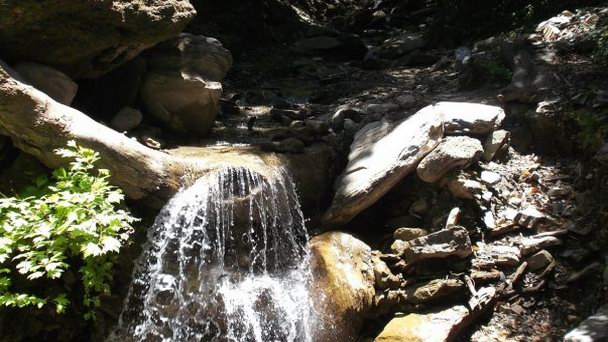 Национальный парк Милли в Кушадасы