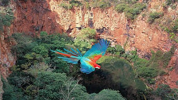 Долина Попугаев в Мату-Гросу