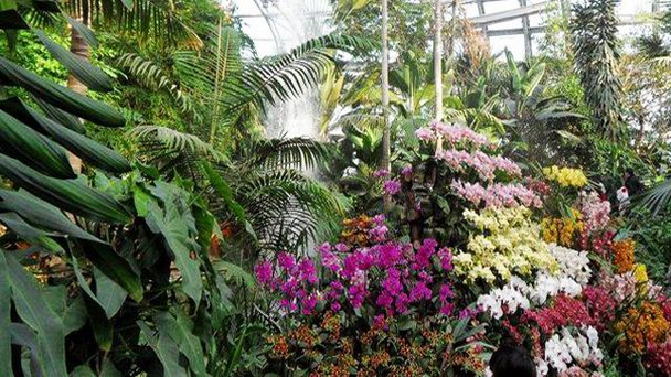 Оранжерея пекинского ботанического сада в Пекине