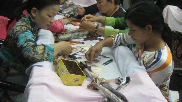 Шелковый Центр в Нячанге Шелковый Центр в Нячанге